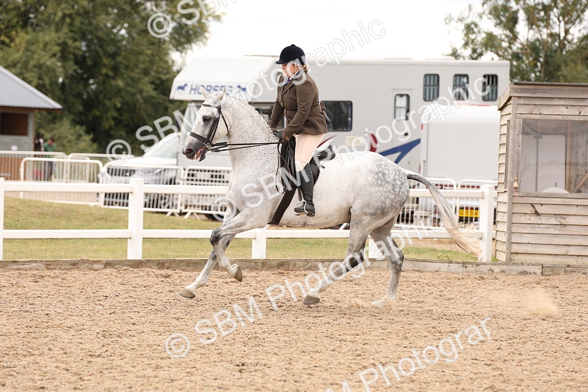 SBM_17247 - Class 213 - Ridden Hunter - Large