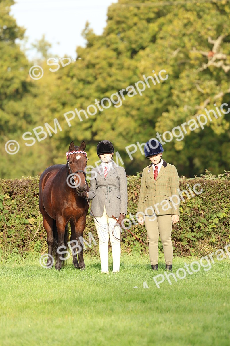 SBM_54861 - S39 - Starters In Hand Showing