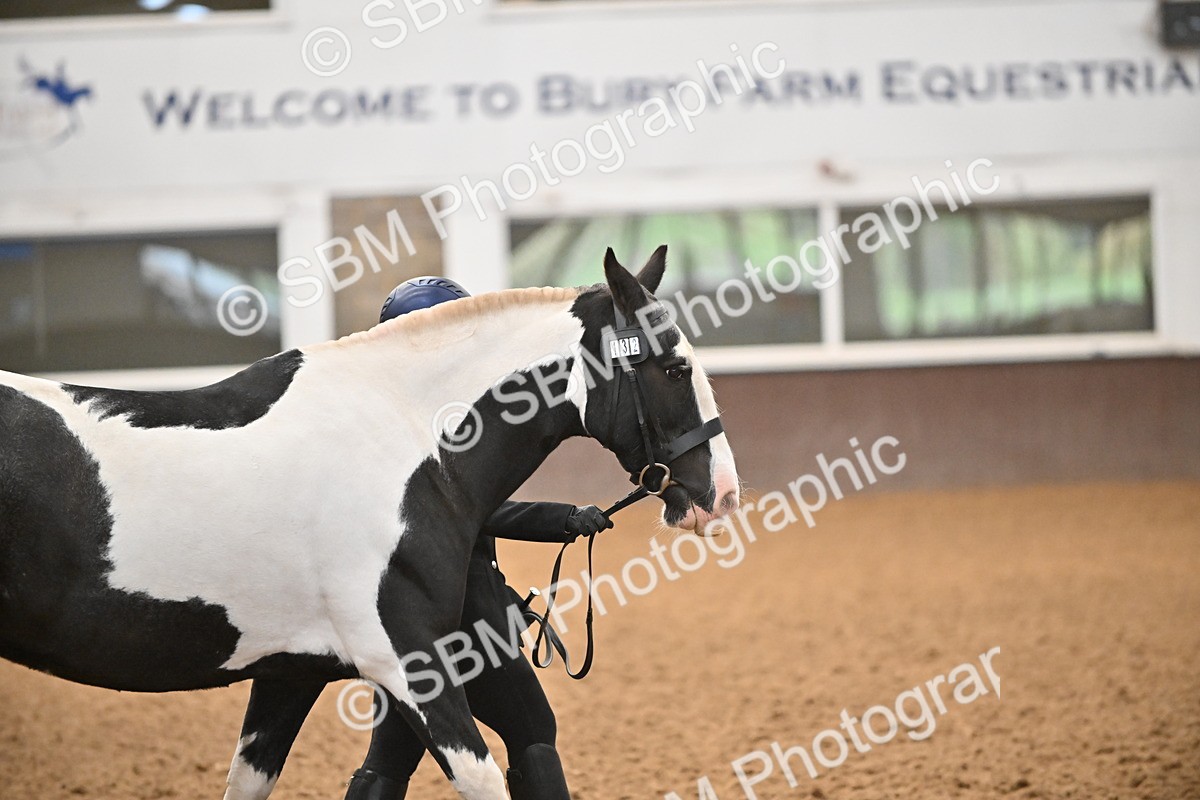 SBM_000046 - Class 1 - In Hand Cob