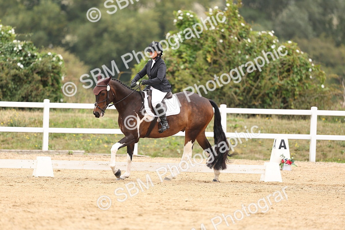 SBM_01697 - Class 9 - Novice 27 Champs