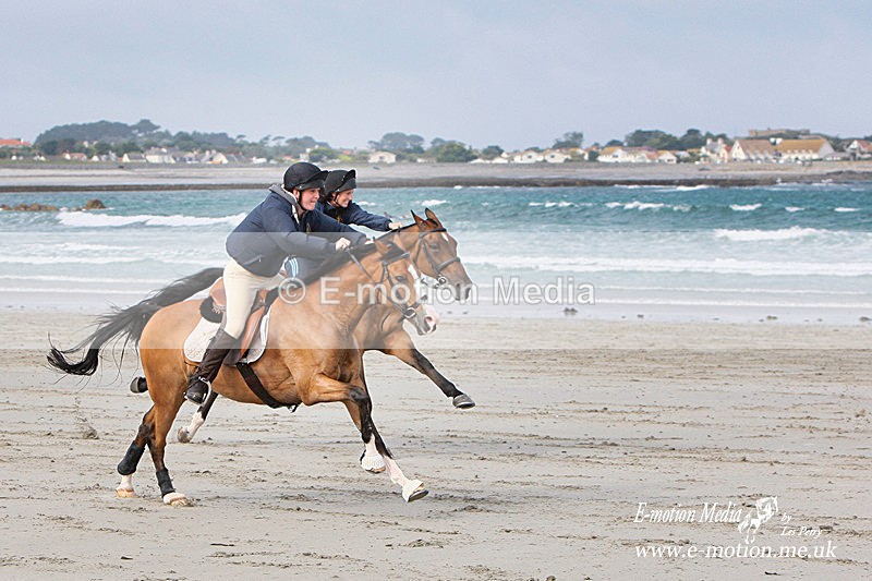 HOYVaz 250808-48a - Equestrian