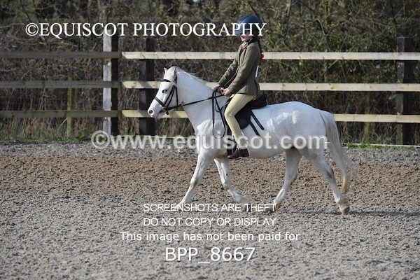 BPP_8667 - TRAINING STAKES