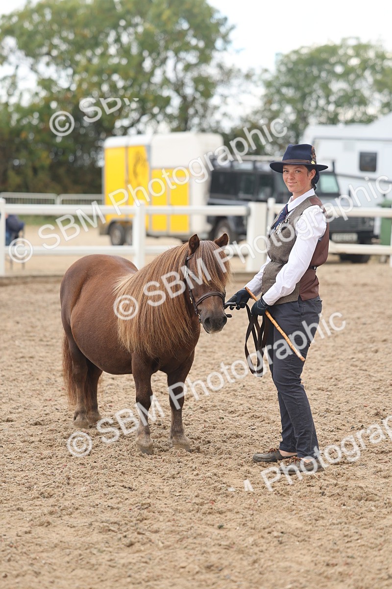 SBM_03254 - Class 16 - IH M&M Wildcard