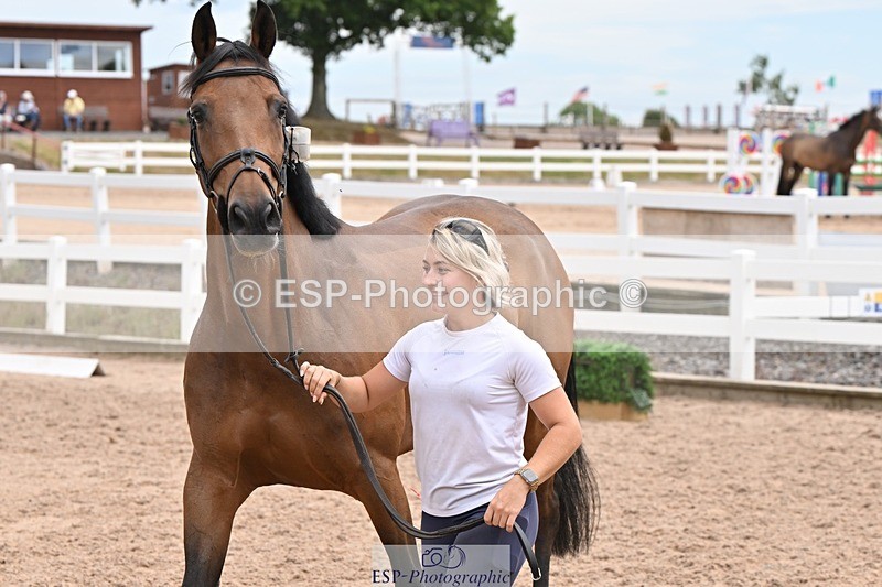 250716-144049-01300 - Trot Up 2.30 to 3.30