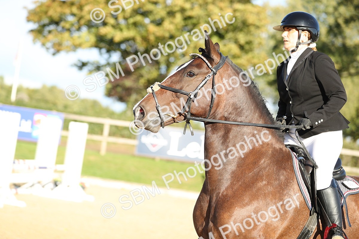 SBM_11487 - J37 - Veteran Rider 75cm