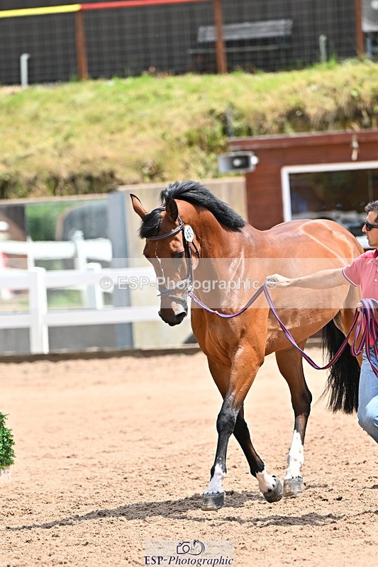 240718A-105307-01591 - Trot Up 1pm to 2pm