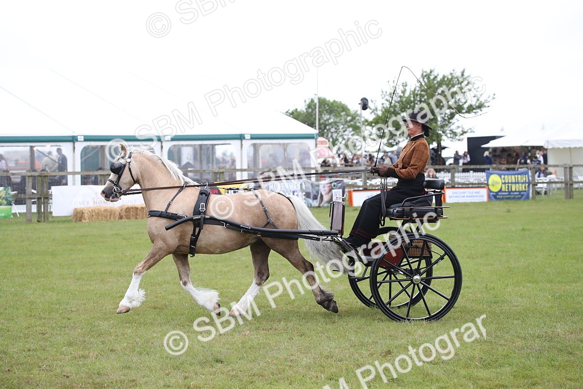 SBM_05639 - Class 12-15 - HOYS Private Driving