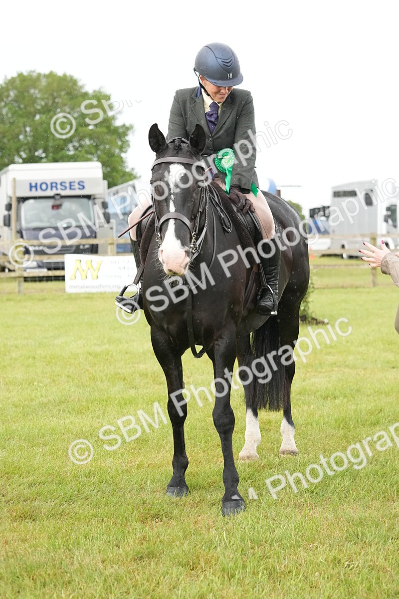 SBM_12808 - Class 97-98 - LIHS BSHA Rising Star Working Show Horse Hunter