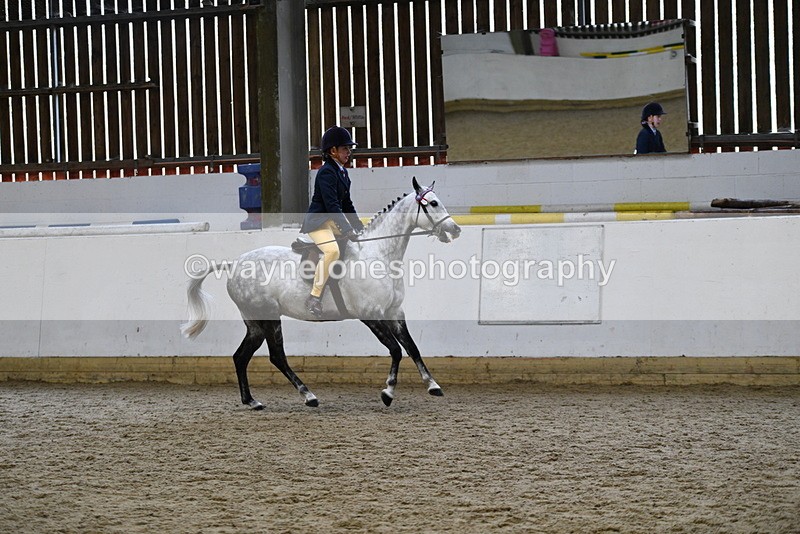 WJ5_7752 - Class 13 Ridden Part Breed