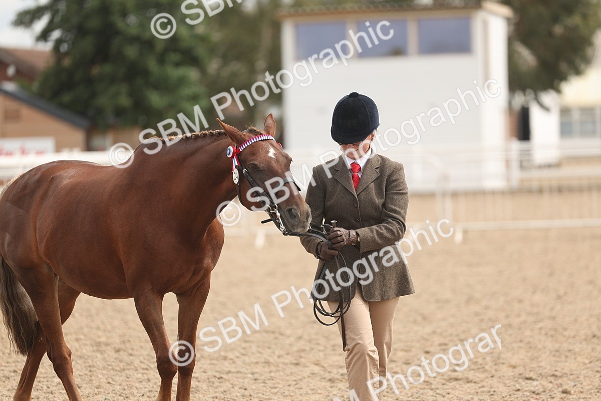 SBM_05024 - Class 20 - IH Veteran