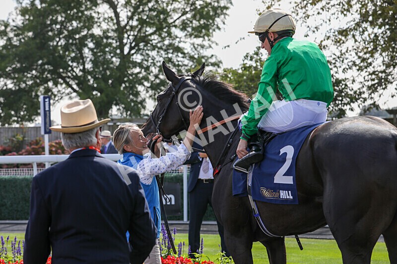 310824-Race 1-Quietness-1017 - Race 1