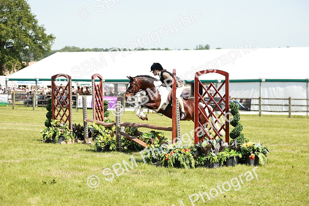 SBM_15470 - Class 108-109 - BSPS LIHS Open Gradle & Nursery Stakes