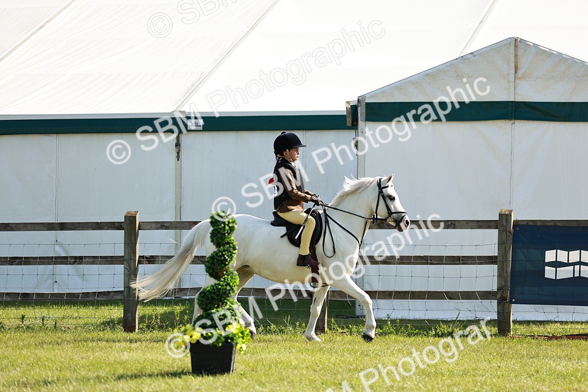 SBM_12568 - Class 106-107 - BSPS LIHS Working Sports Pony