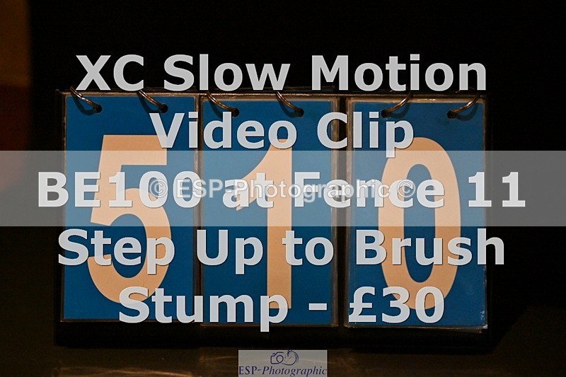 ESP_510 - 510-Kathryn.Virjee-BROWNSTOWNS.SEAWATCH