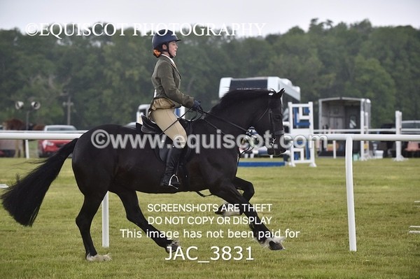 JAC_3831 - 65cm WORKING HUNTER