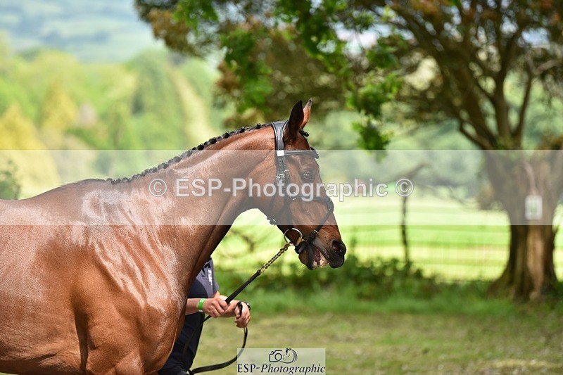 240522-150312-00061 - 302-BGS_LUX_ELECTRIC-Emily_Philp