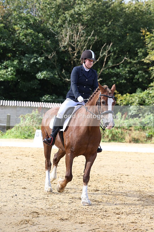 3E7A2244 - Class 1: Intro 4 2024 section A