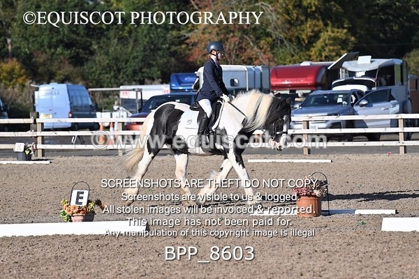 BPP_8603 - SHORT ARENA