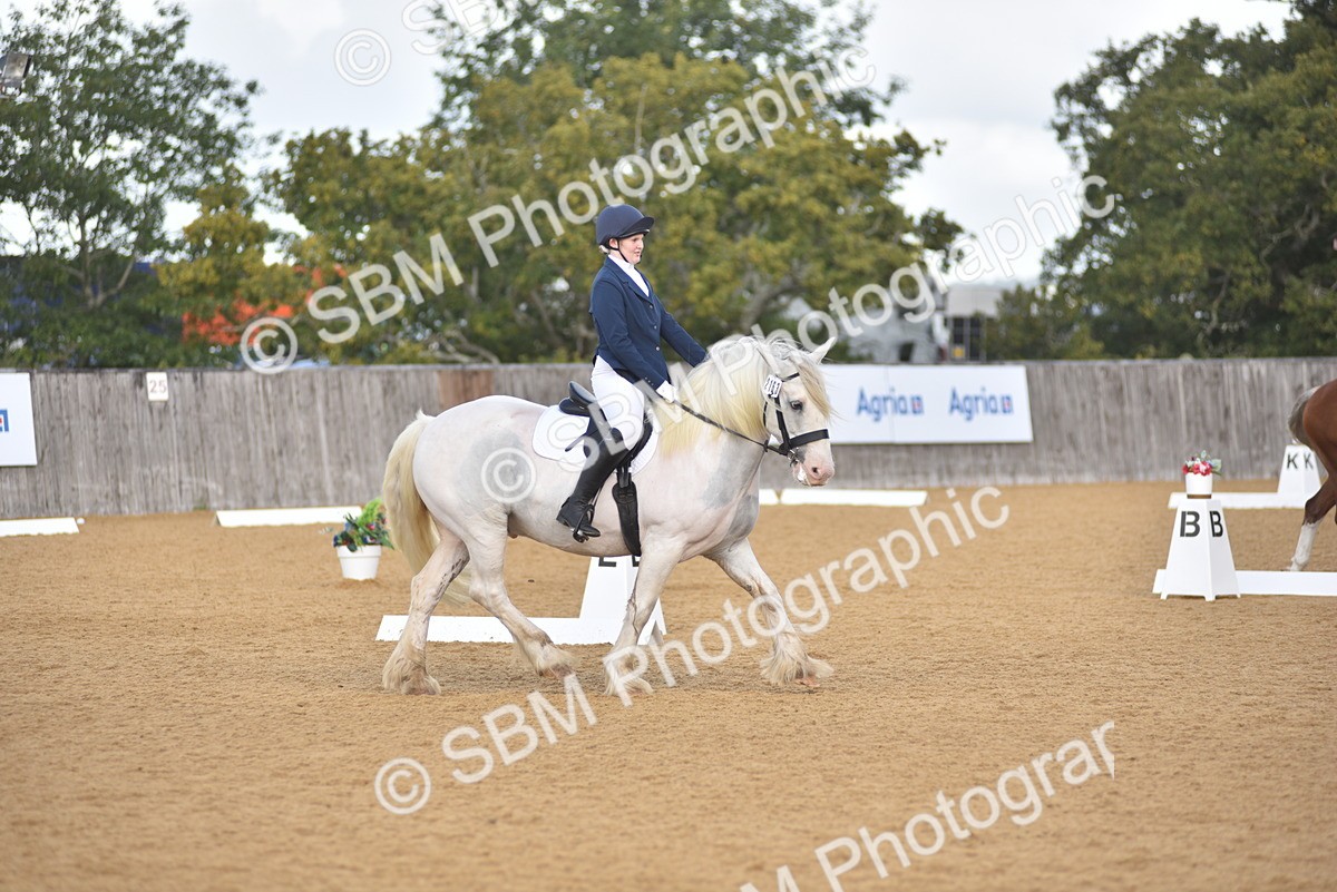 SBM_03195 - D4 - Small Tour Championship Intro 4