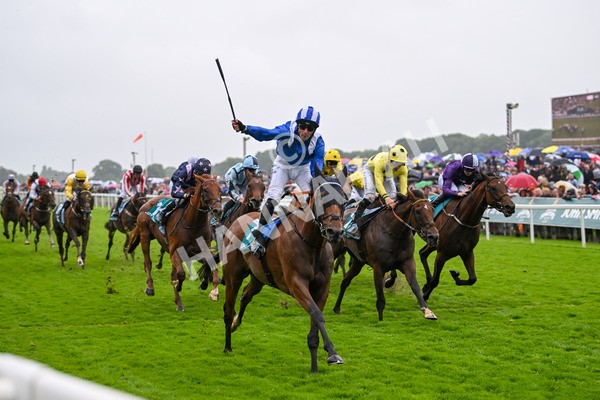 130724-Race 3-Enfjaar-7267 - Race 3 3.10pm John Smith's Cup Handicap