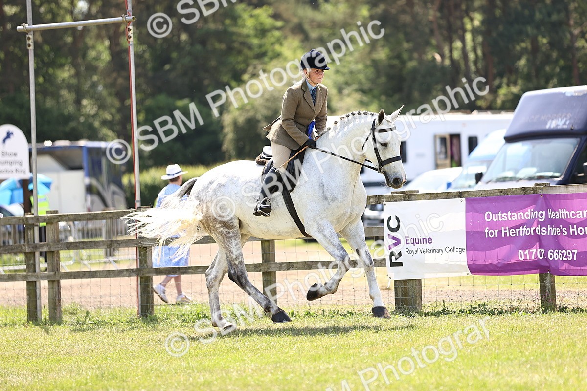 SBM_15249 - Class 79-80 - LIHS BSHA Rising Star Ridden Hunter