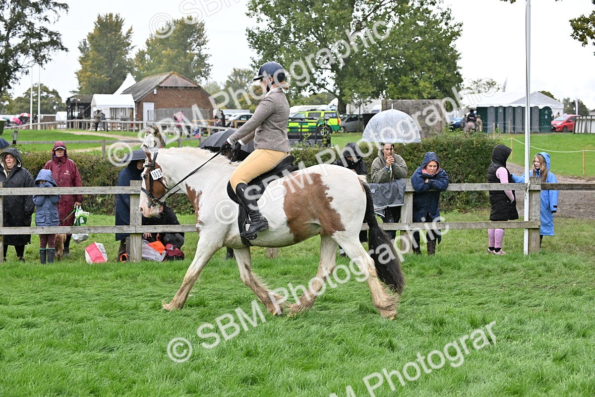 SBM_42969 - S12 - Family Horse & Pony
