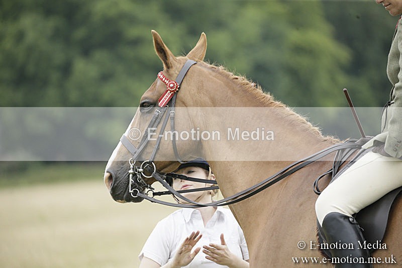 B230619-0913 - Bourne Valley Riding Club Summer Show 23/06/19