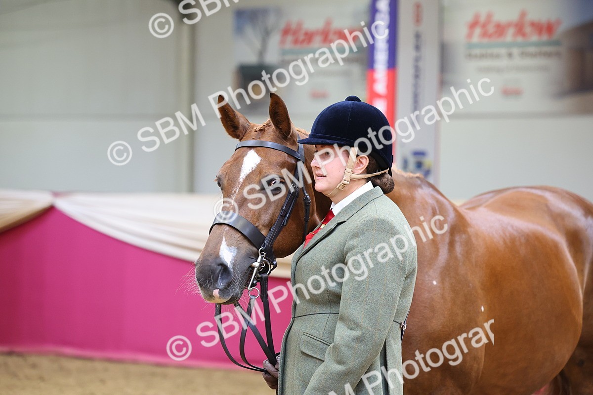 SBM_22743 - Class 903 - Supreme Final - IH Pre Vet