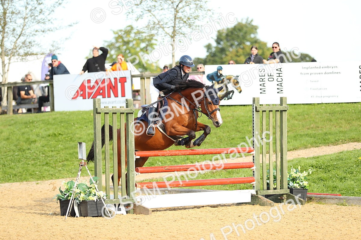 SBM_60343 - J41 - Grand Tour 95cm Championship