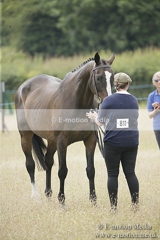 B230619-0557 - Bourne Valley Riding Club Summer Show 23/06/19