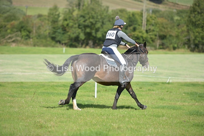 RAY_8883 - Class 2: Trekenning Open: Wall