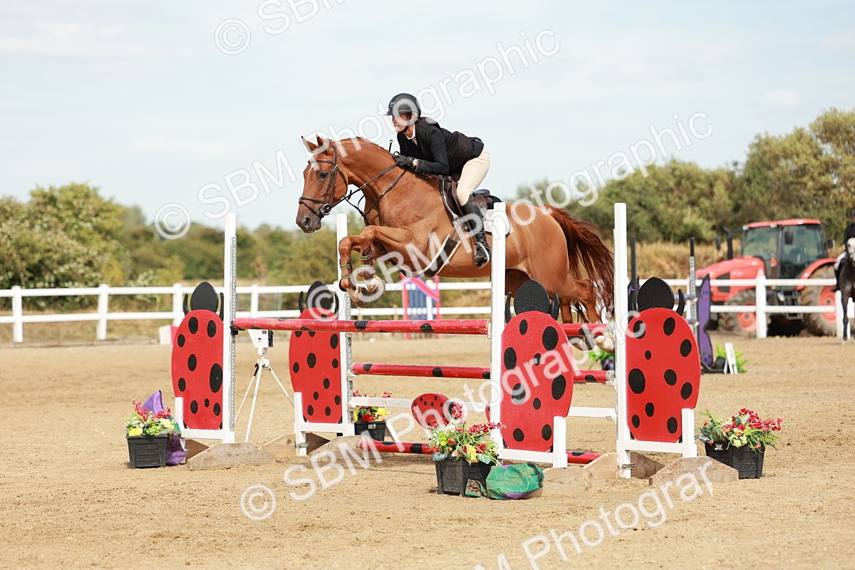 SBM_008097 - Class 4 - Senior Foxhunter - 1.20m Open