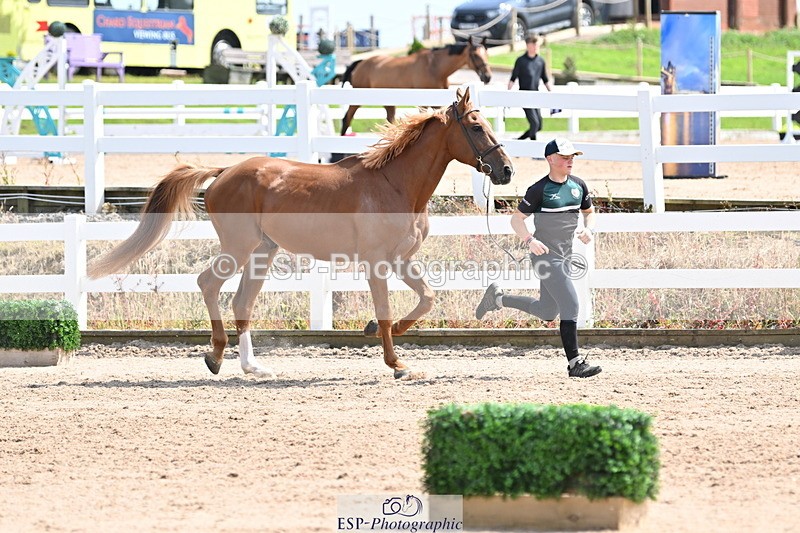 240717A-145857-02394 - Trot Up 2pm to 3pm - This folder is not in time order