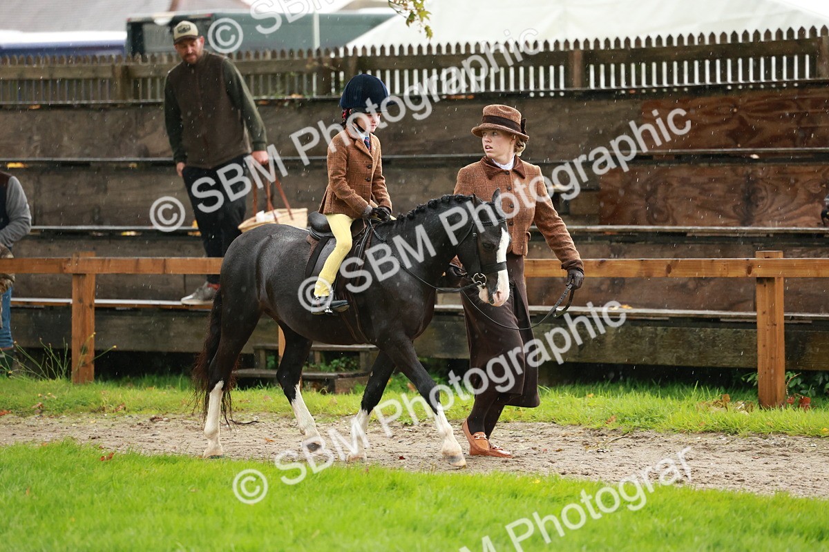 SBM_33686 - S9 - Lead Rein Equitation
