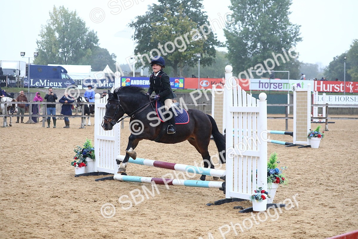 SBM_71798 - J4 - Mini Tour Junior Pony 45cm Championship