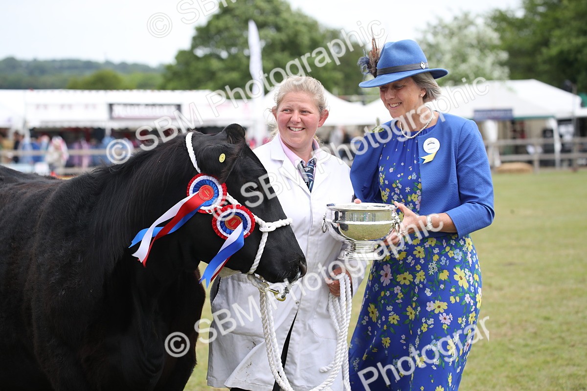 SBM_07950 - Grand Parade