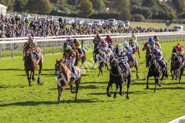 141023-Race 3-Montassib-0405 - Race 3 2.25pm Coral Sprint Trophy Handicap