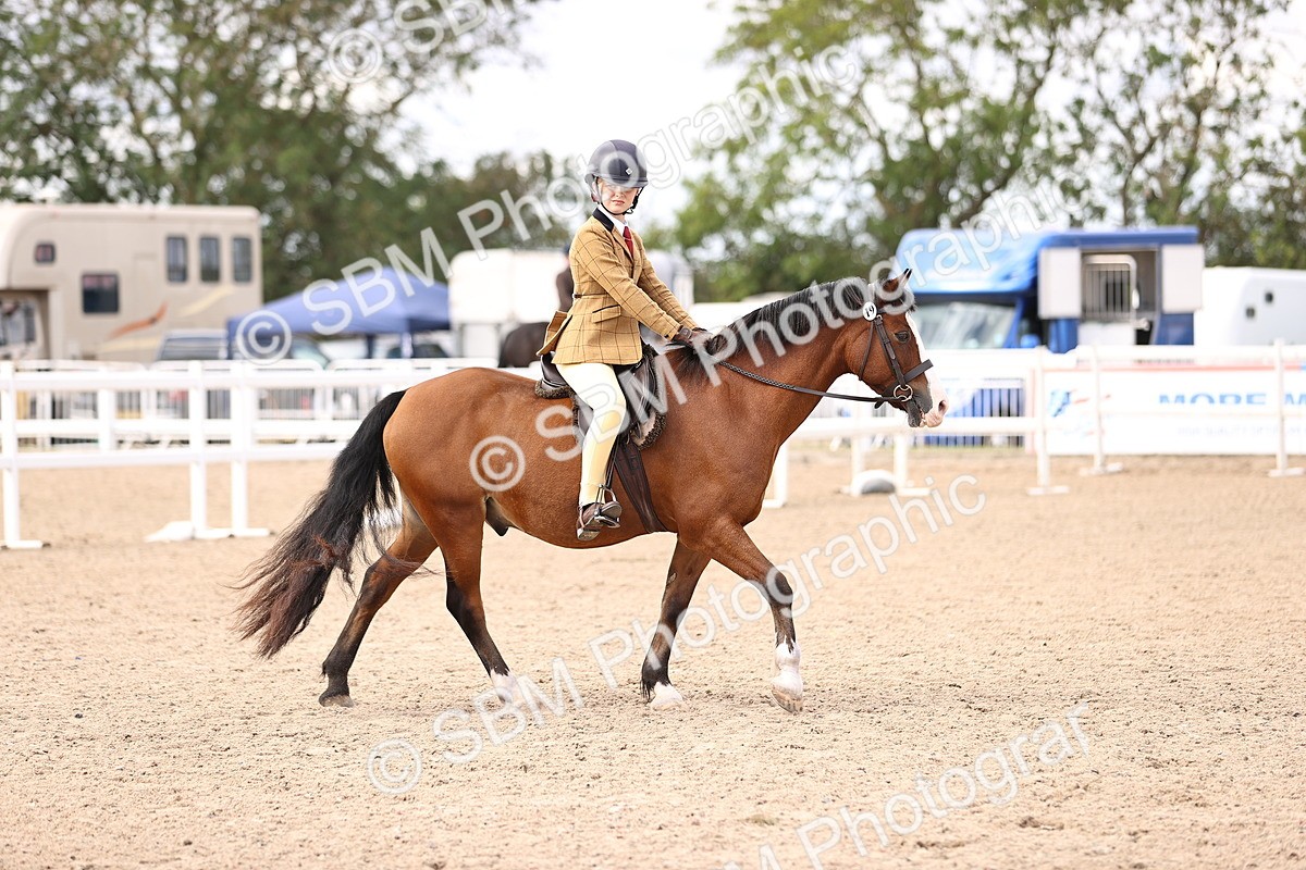 SBM_12818 - Class 409 - Grassroots Ridden - Pony