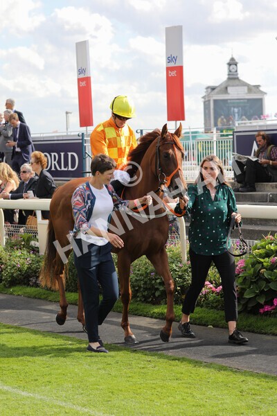 yr20082022r6-3 - Race 6 4.45 pm Julia Graves Roses Stakes