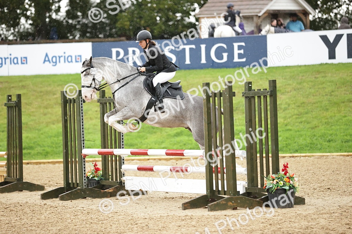 SBM_33145 - J38 - Senior Horse & Pony 80cm Championship
