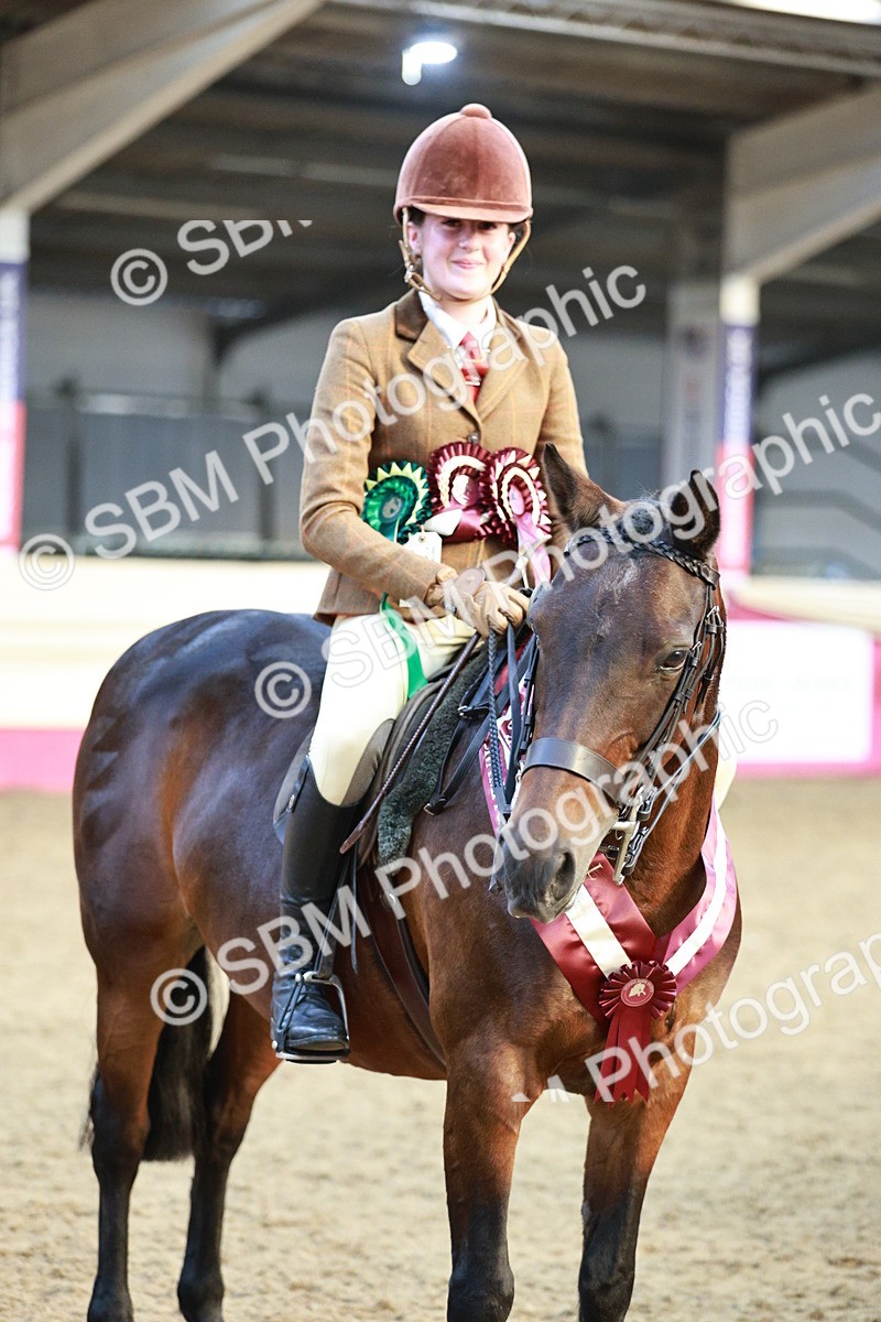 SBM_08702 - Regional Ridden Champ