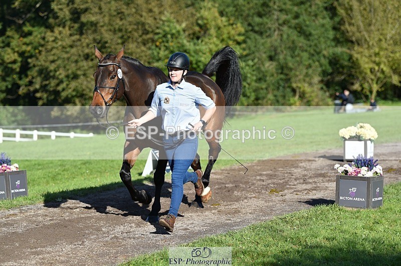 231022-105518-23589 - 418-PENHILL.REX-Lesley.Mitton-TrotUp+SJ