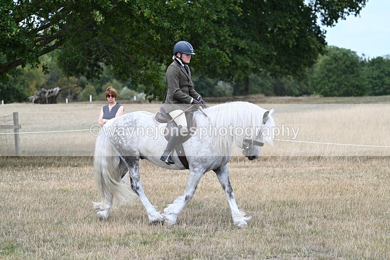 WJ7_4753 - Class 12 Ridden Cob