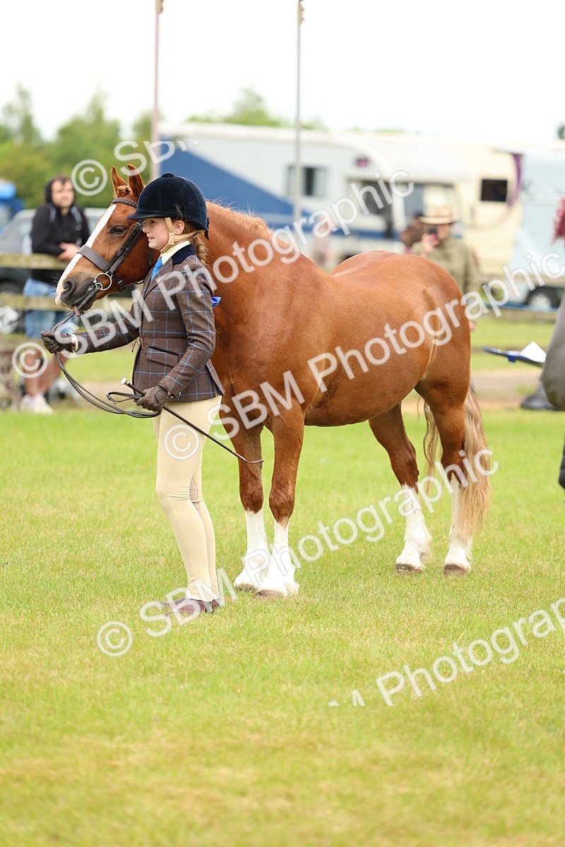 SBM_10365 - Class 44-45 - LIHS BSPS Open Nursery and Cradle Stakes