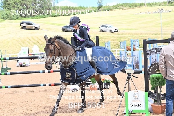 BPP_5561 - CLASS 8 THURS HOYS GFS Saddles Senior Newcomers Second Round