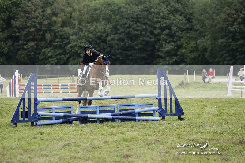 BVRC 120921 531 - Bourne Valley Riding Club UA Dressage & Show Jumping 12/09/21