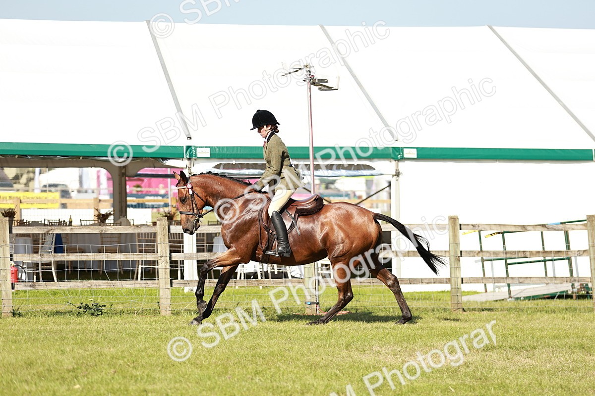 SBM_19252 - Class 115-116 - LIHS BSHA Rising Star Working Hunter & Show Horse