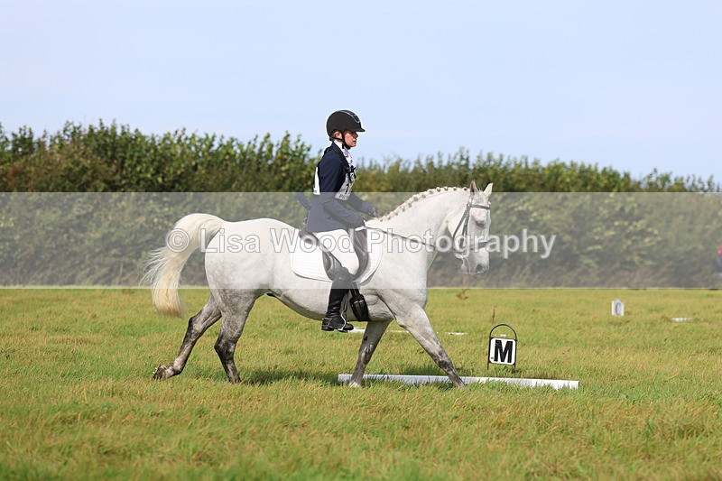 3E7A6309 - Class 1: Trebudannon Open: Dressage (Part 2)