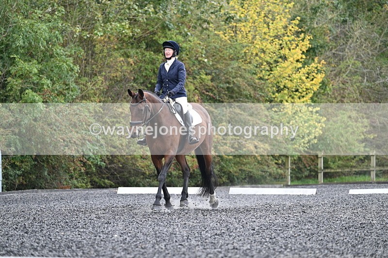 WJ7_4130 - Time 11:43 to 12:09