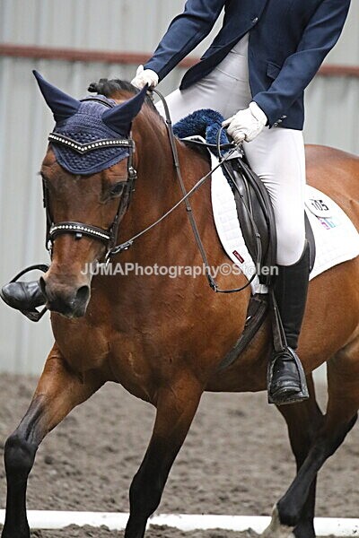 SIAL4958 - CAbin Dressage 5th july 2025